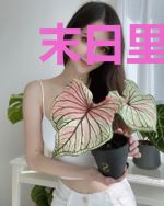 末日里的不义联盟