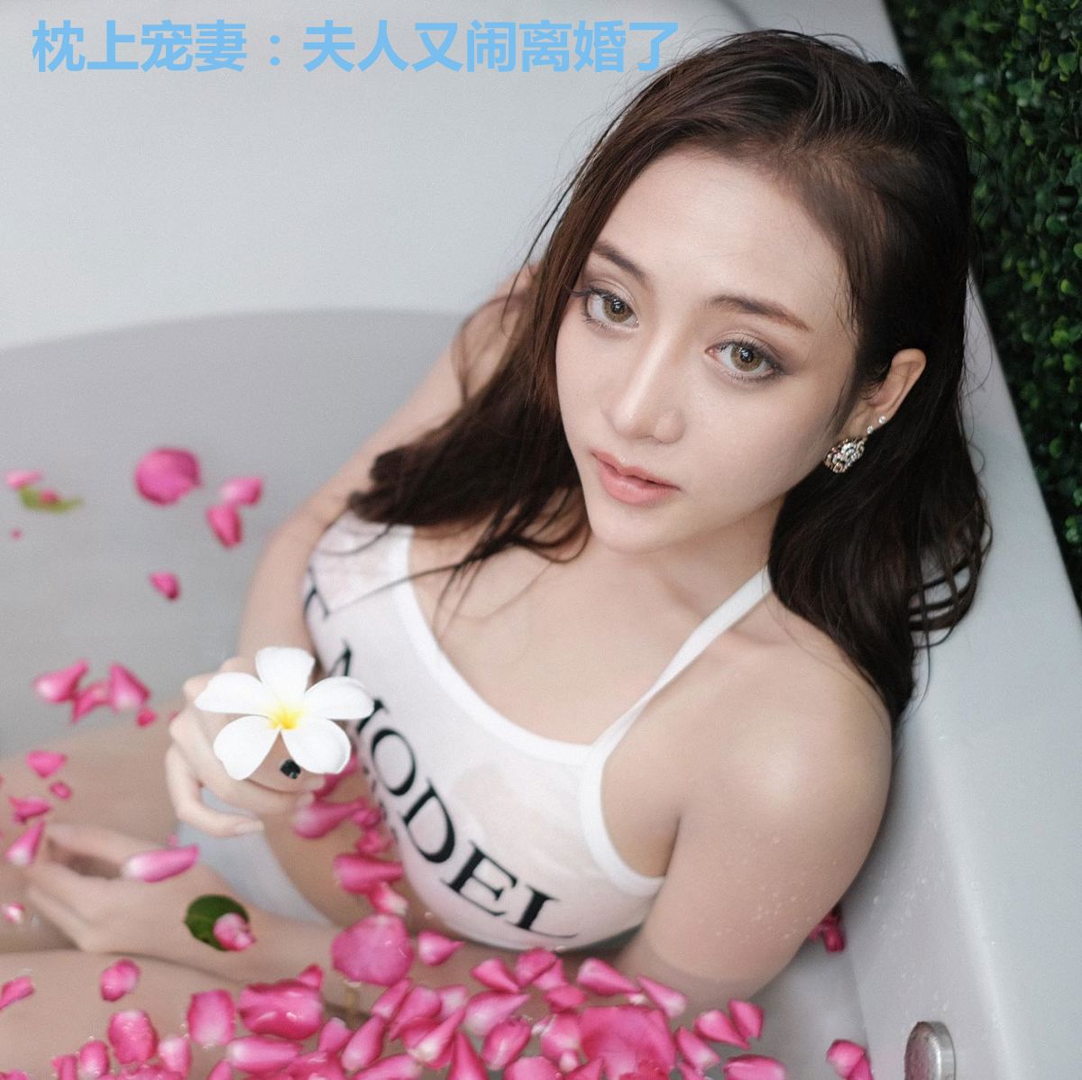 枕上宠妻：夫人又闹离婚了
