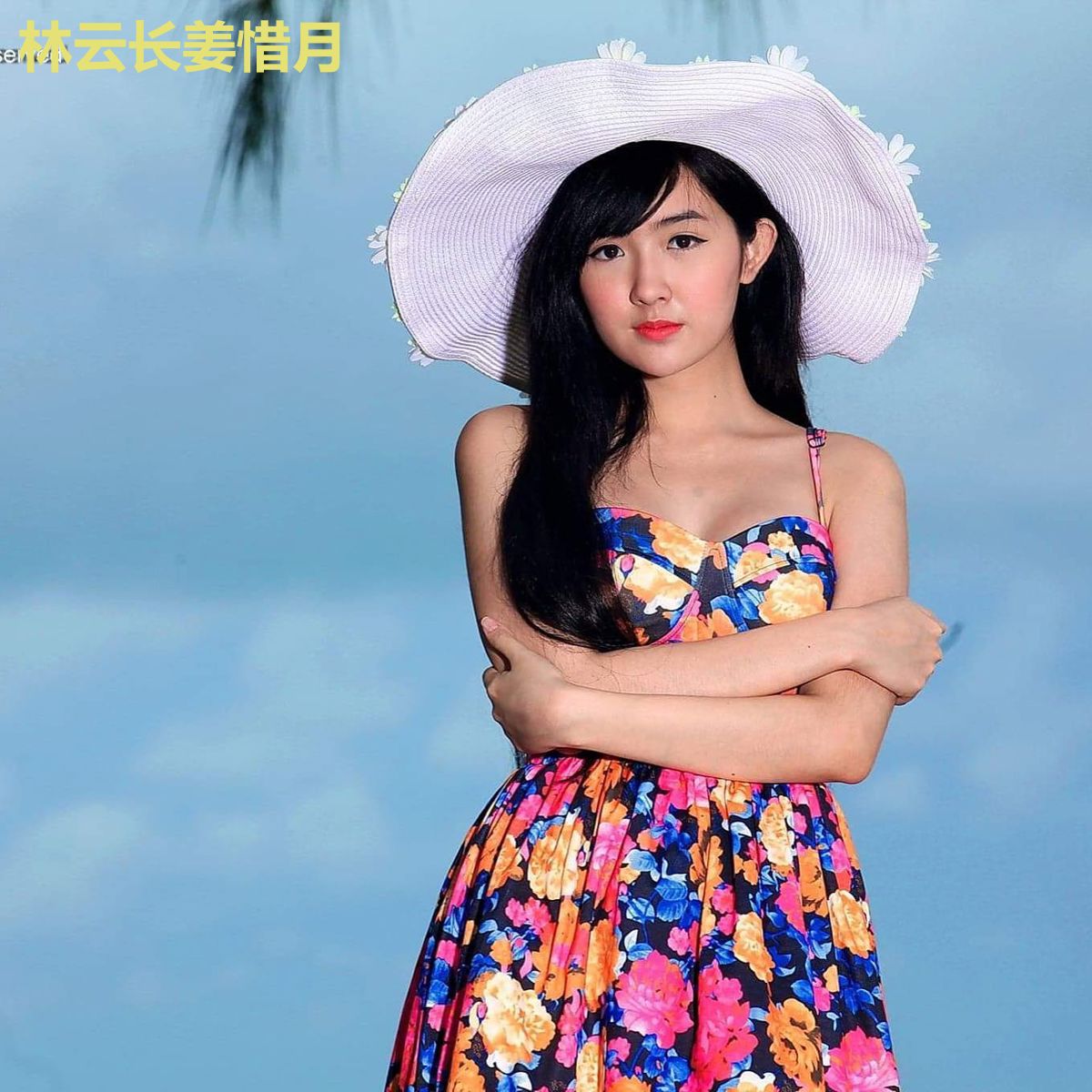 林云长姜惜月