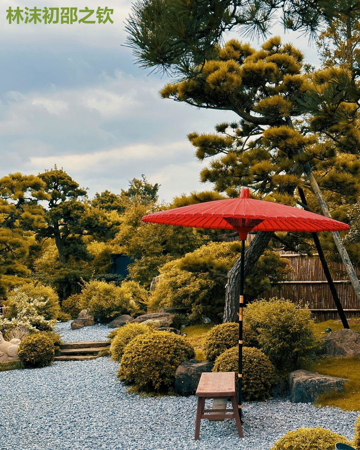 林沫初邵之钦