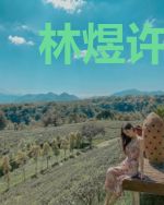 林煜许岚岚