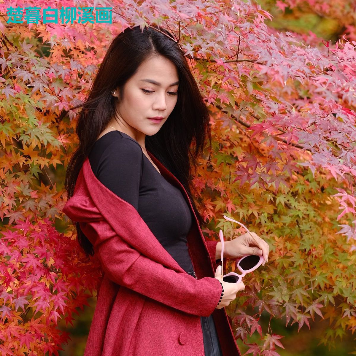 楚暮白柳溪画