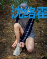 沈络霍景深