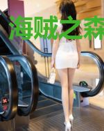 海贼之森罗剑道