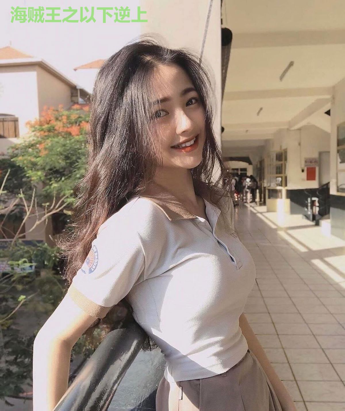 海贼王之以下逆上