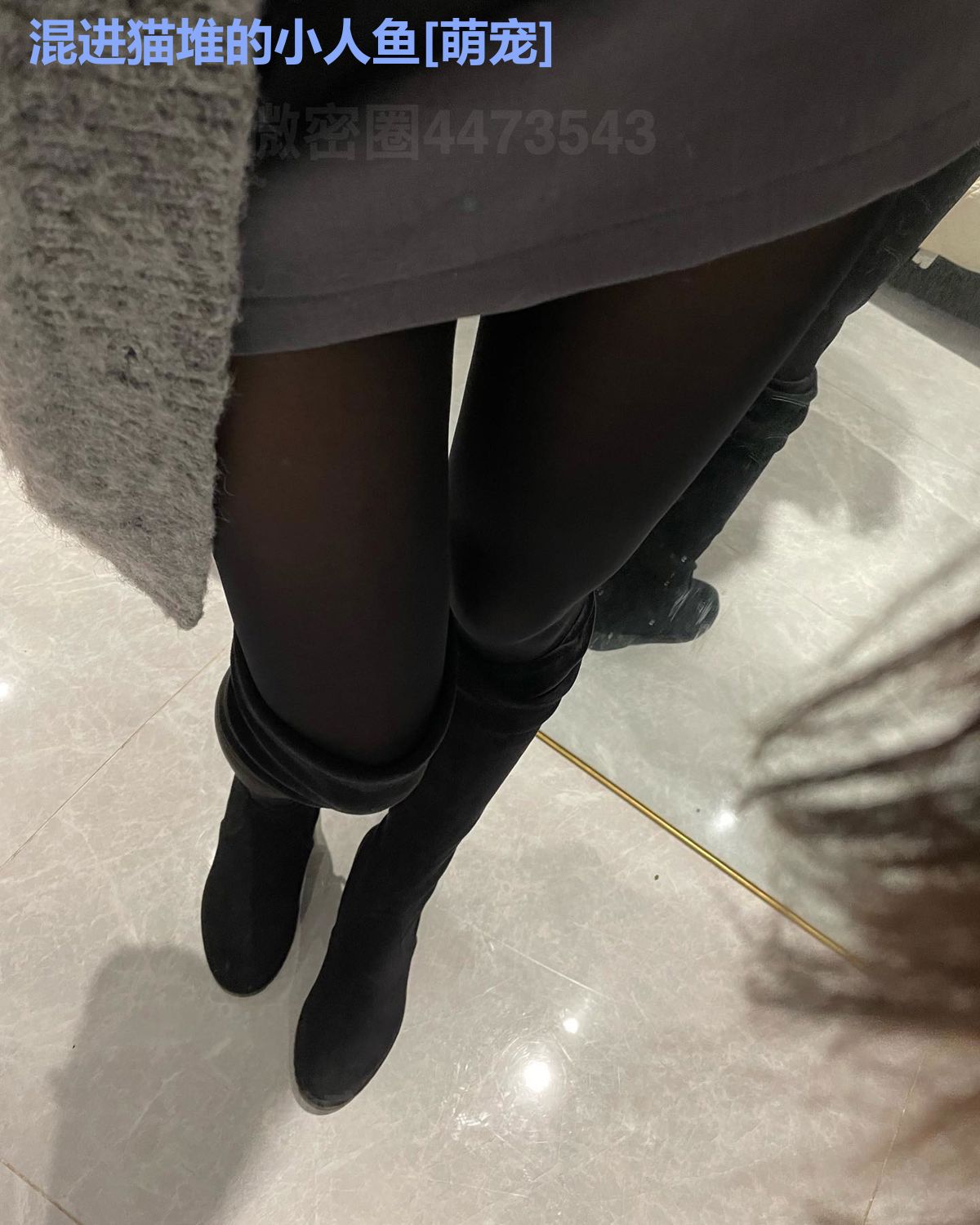 混进猫堆的小人鱼[萌宠]