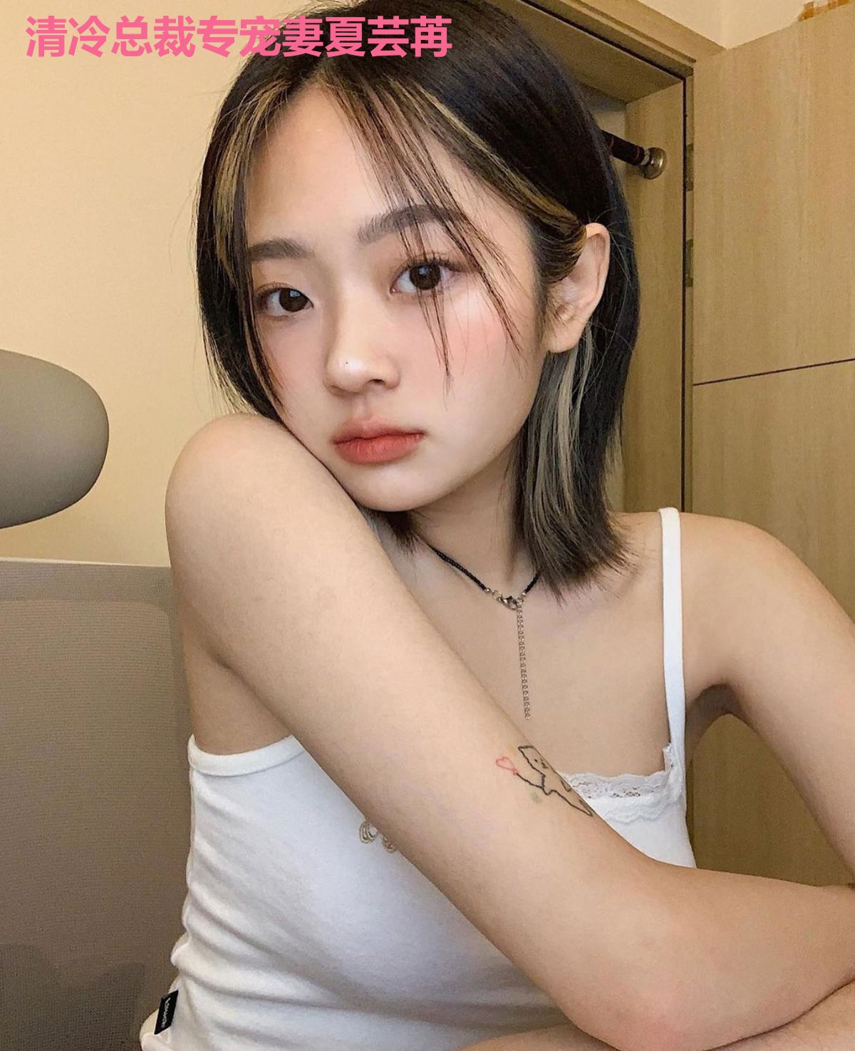 清冷总裁专宠妻夏芸苒