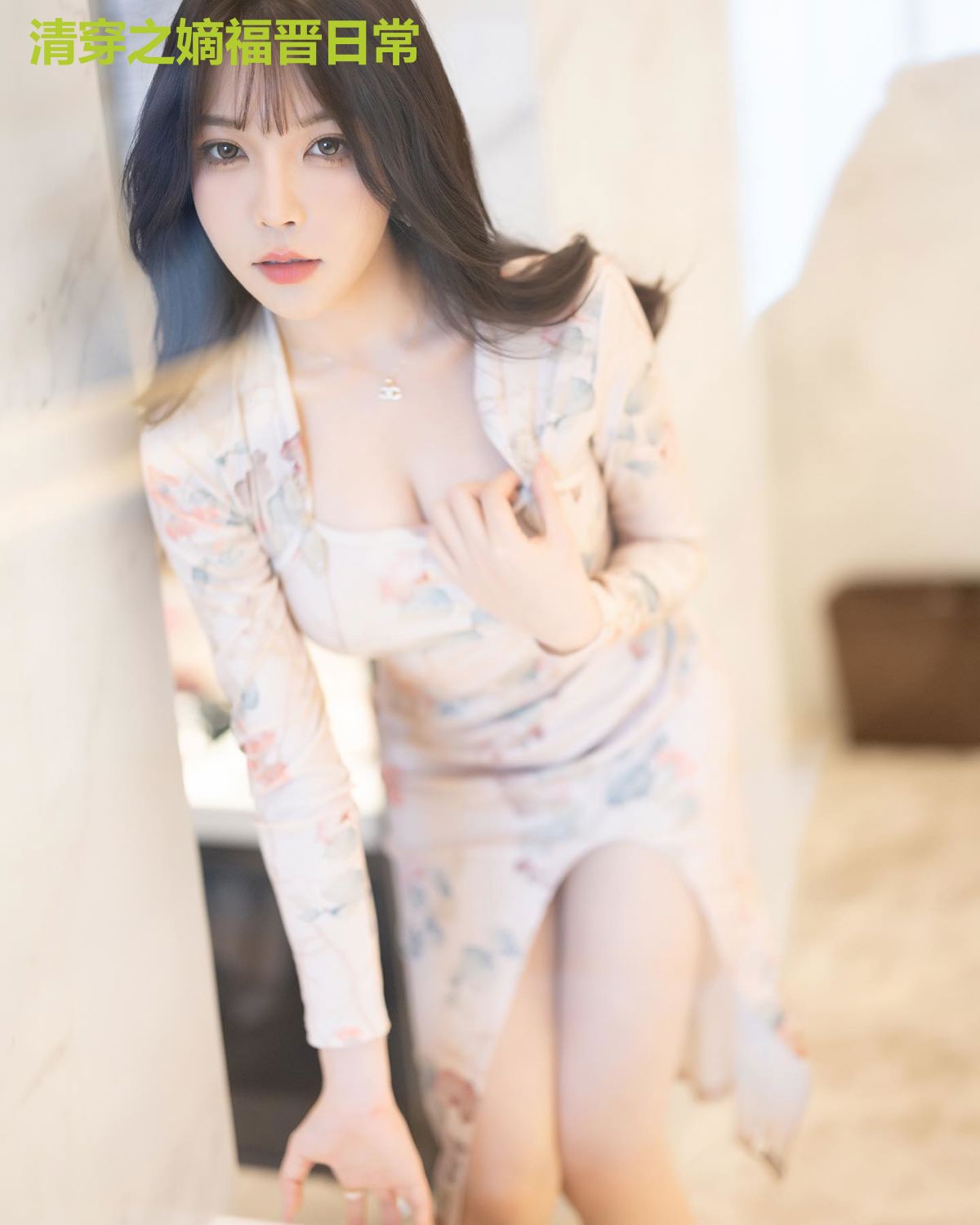 清穿之嫡福晋日常