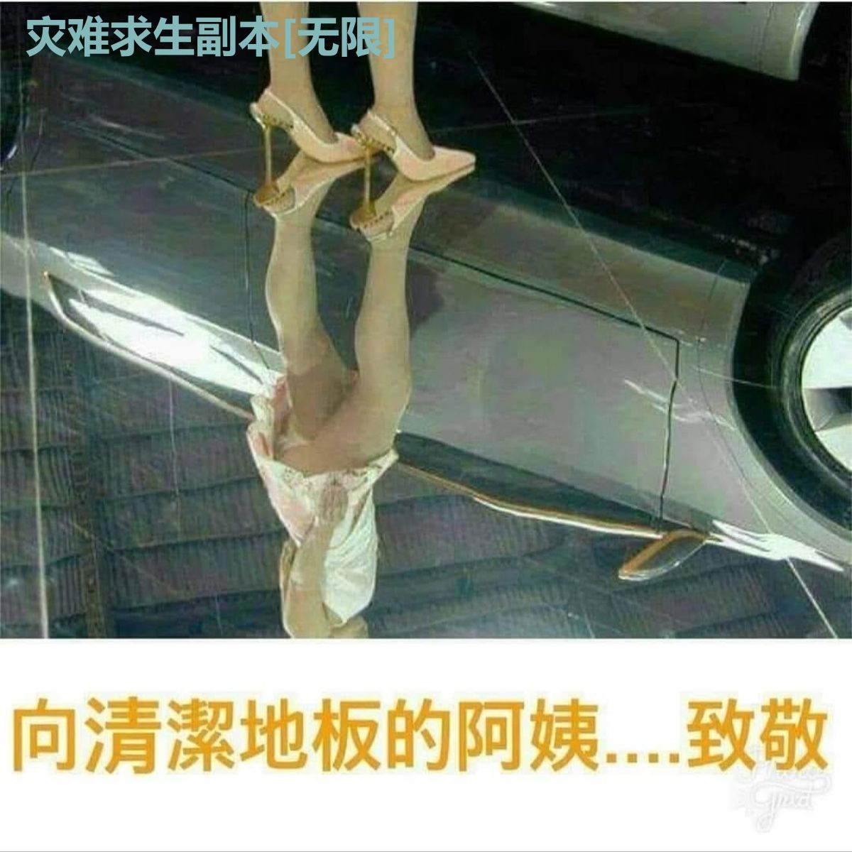 灾难求生副本[无限]