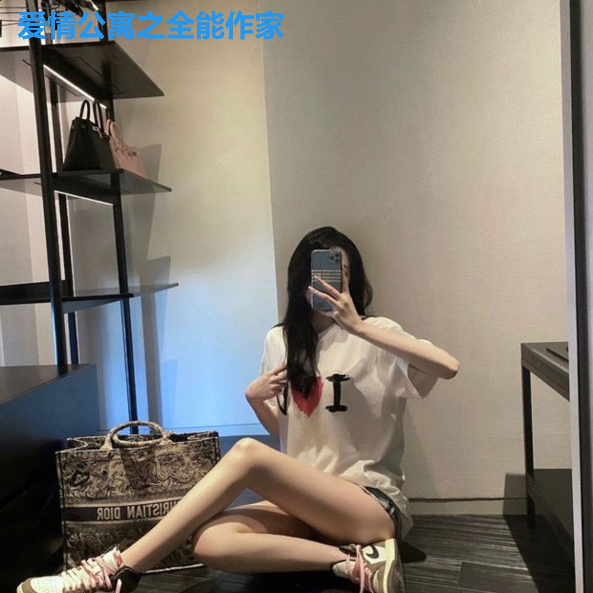 爱情公寓之全能作家