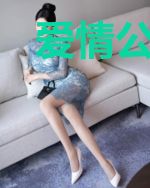 爱情公寓：我的第六季