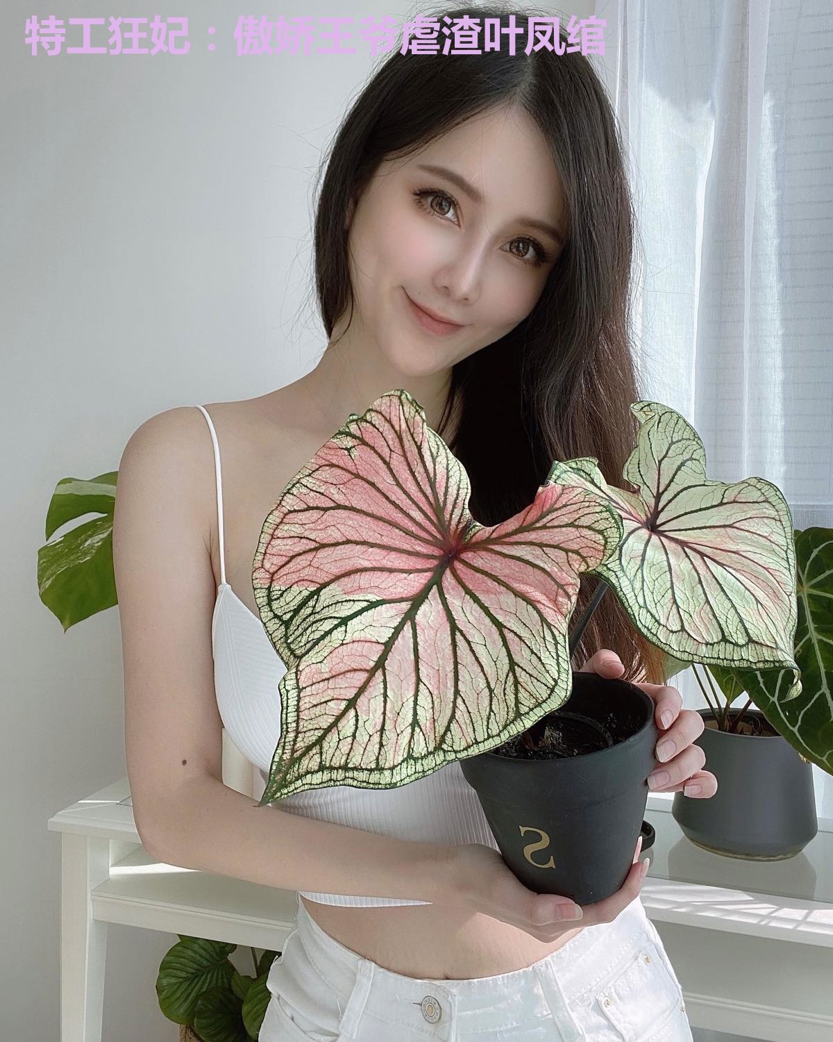 特工狂妃：傲娇王爷虐渣叶凤绾