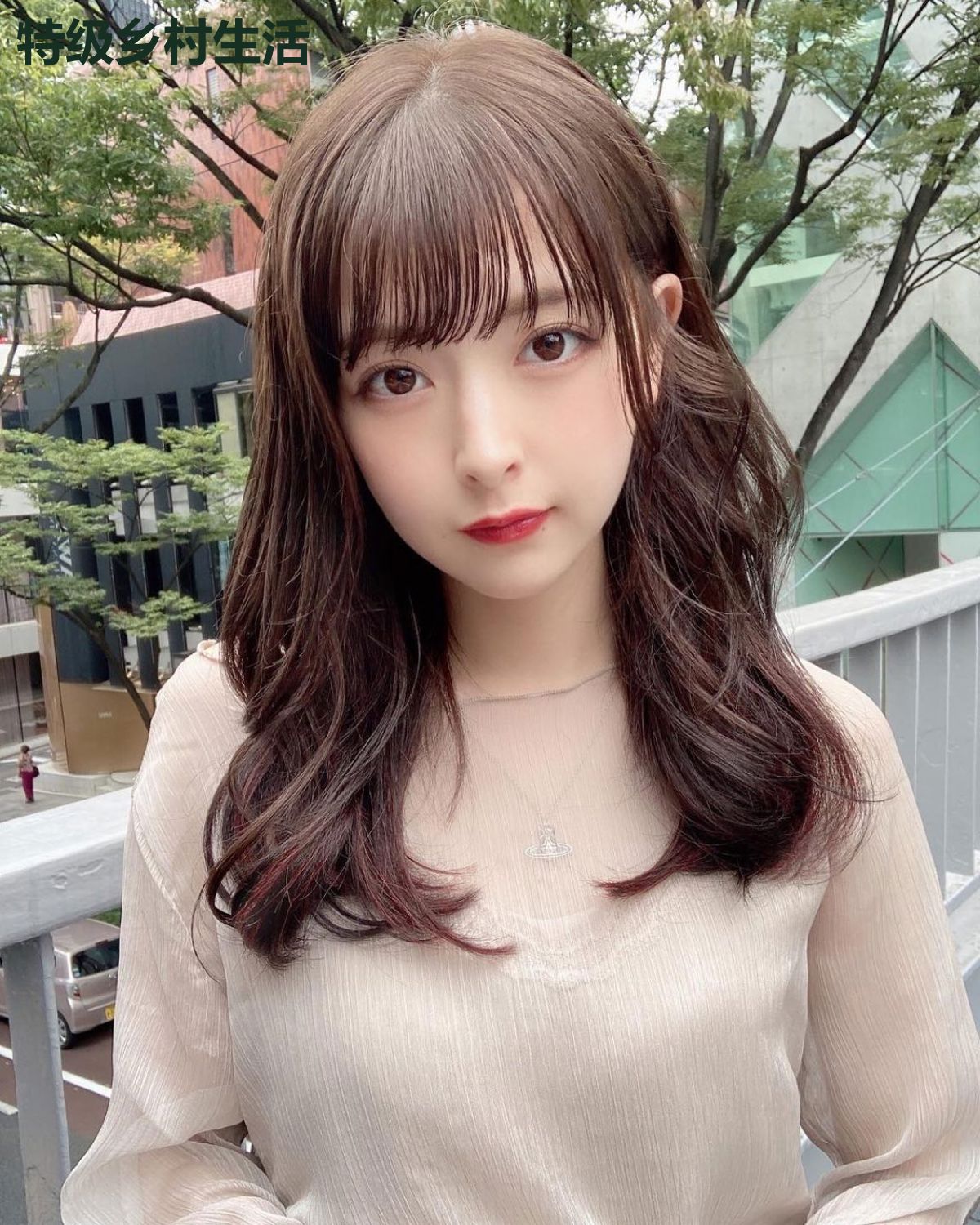 特级乡村生活