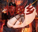 特级乡村生活