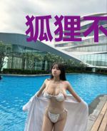 狐狸不慕仙