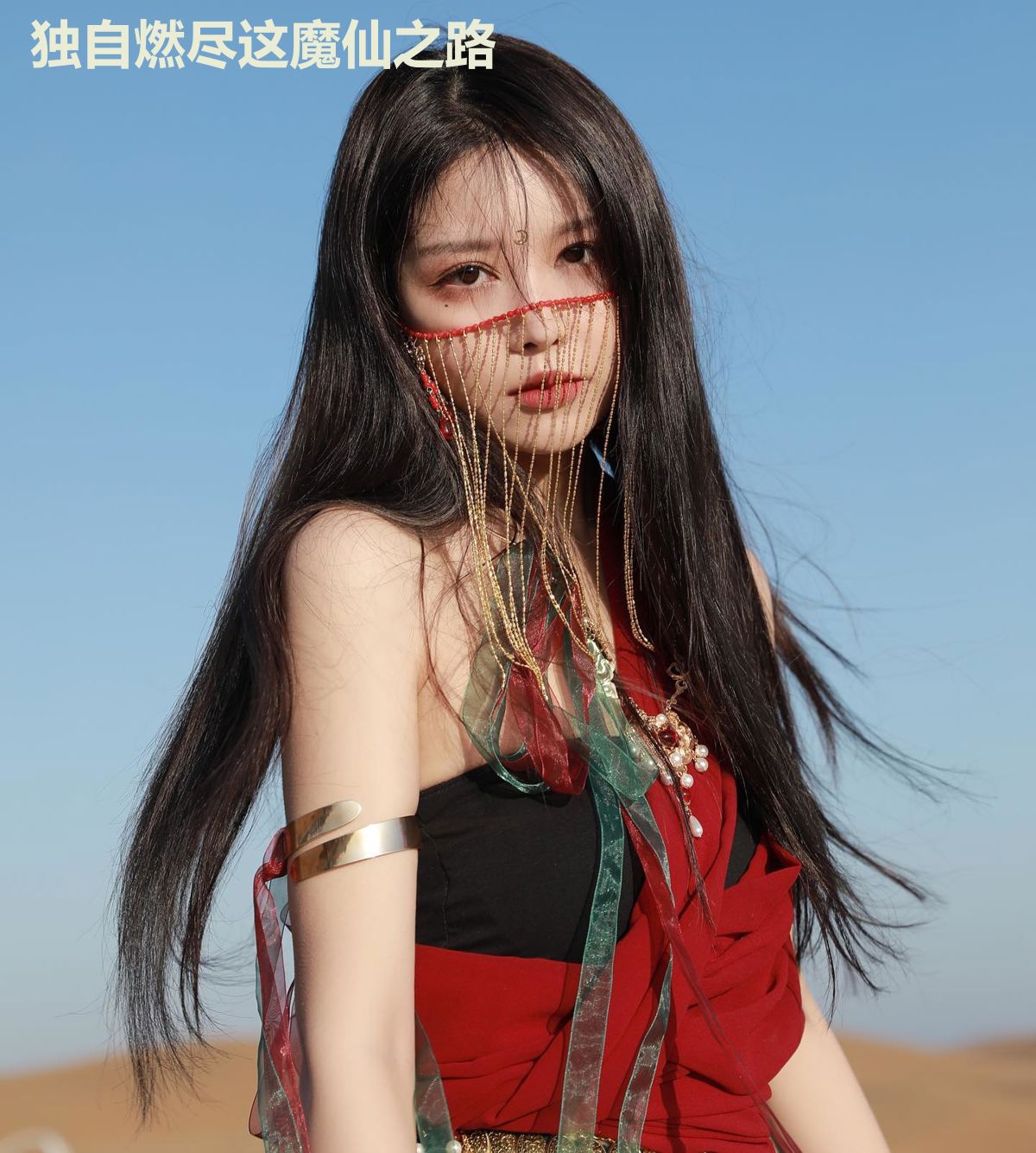 独自燃尽这魔仙之路