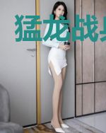猛龙战兵苏欣