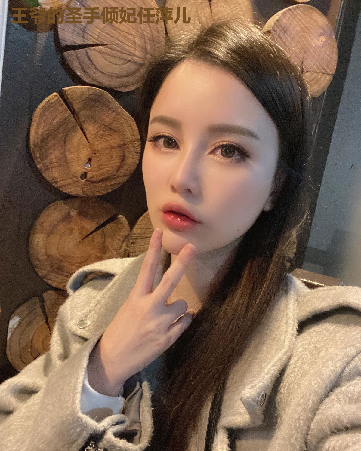 王爷的圣手倾妃任萍儿