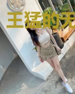 王猛的无尽战争