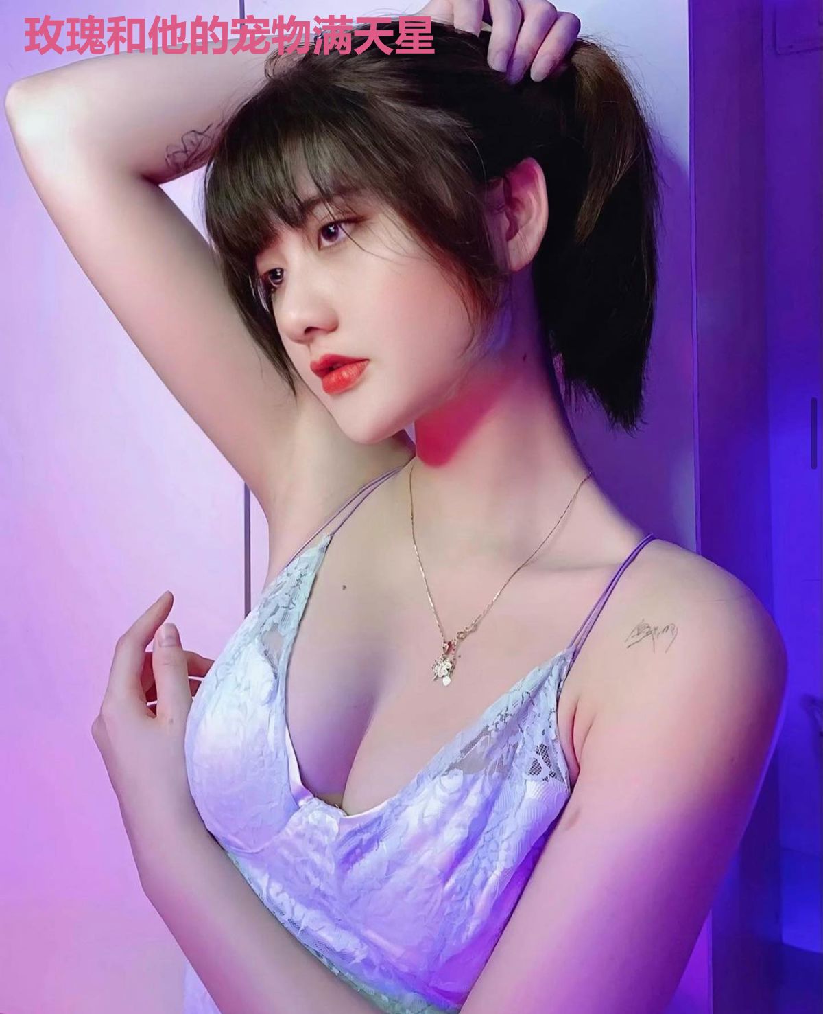 玫瑰和他的宠物满天星