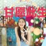 甘愿此生不识你
