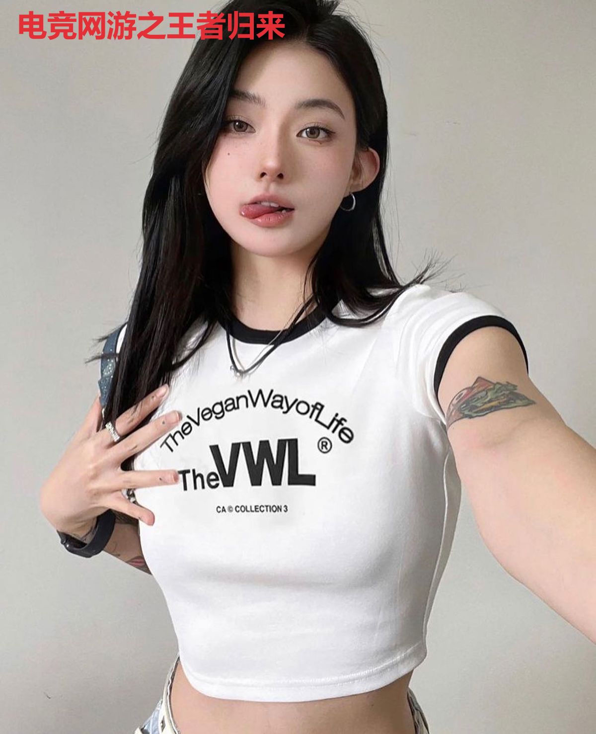 电竞网游之王者归来