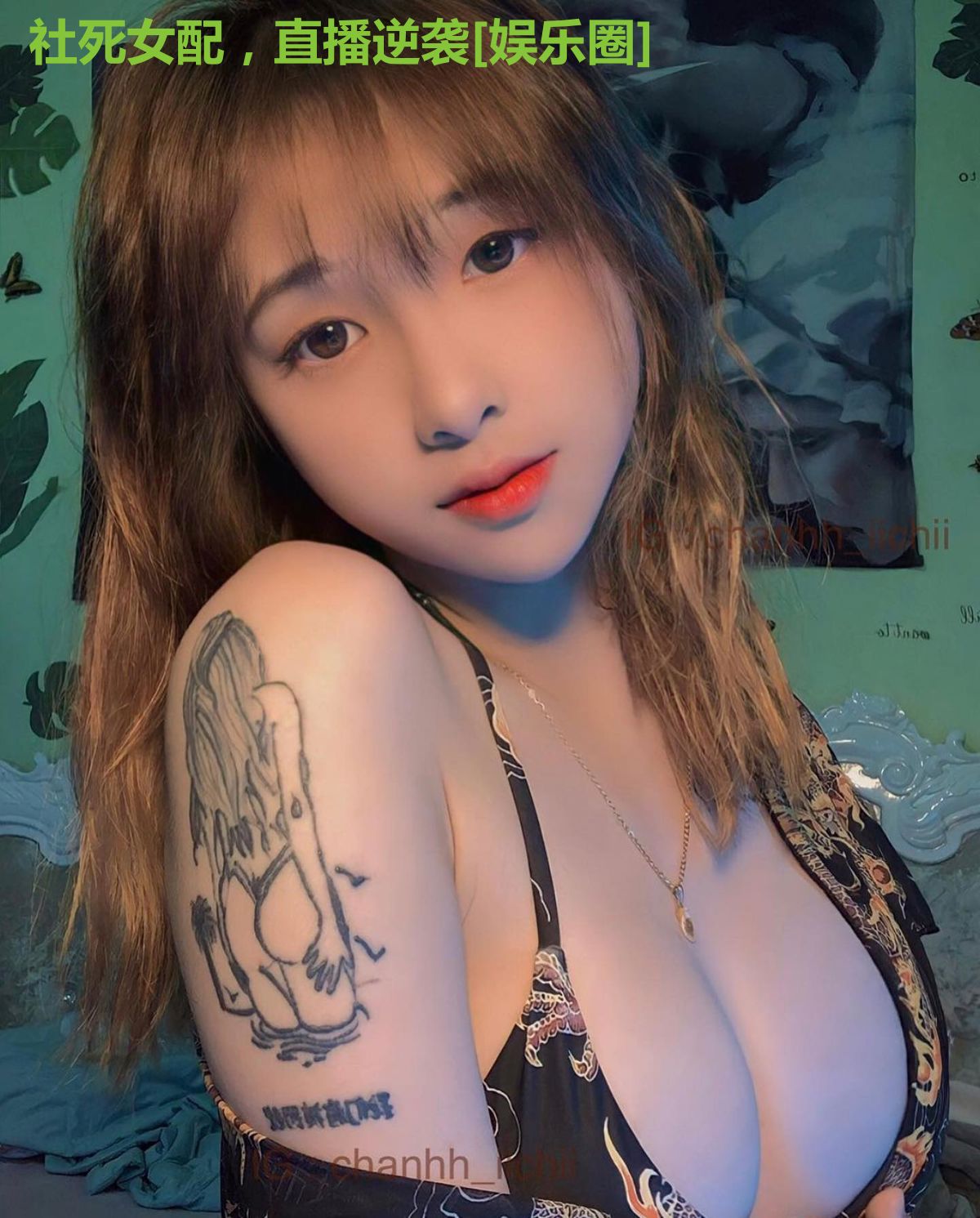 社死女配，直播逆袭[娱乐圈]