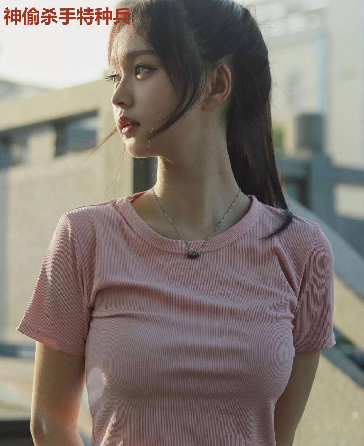神偷杀手特种兵