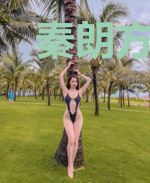 秦朗方清雅