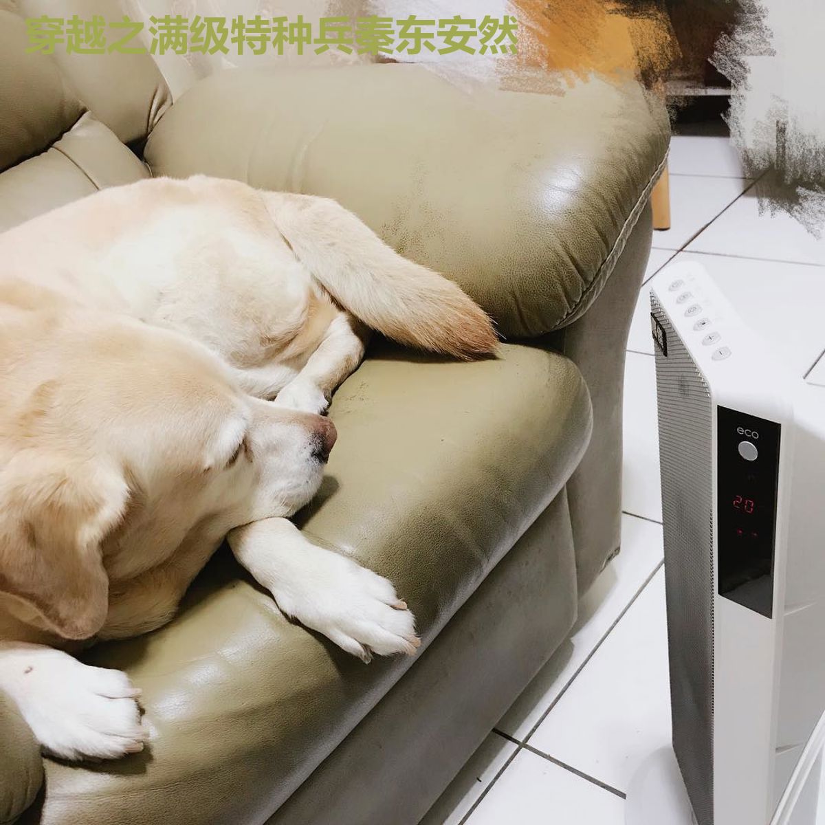 穿越之满级特种兵秦东安然