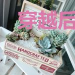 穿越后，我有一个孝顺儿子