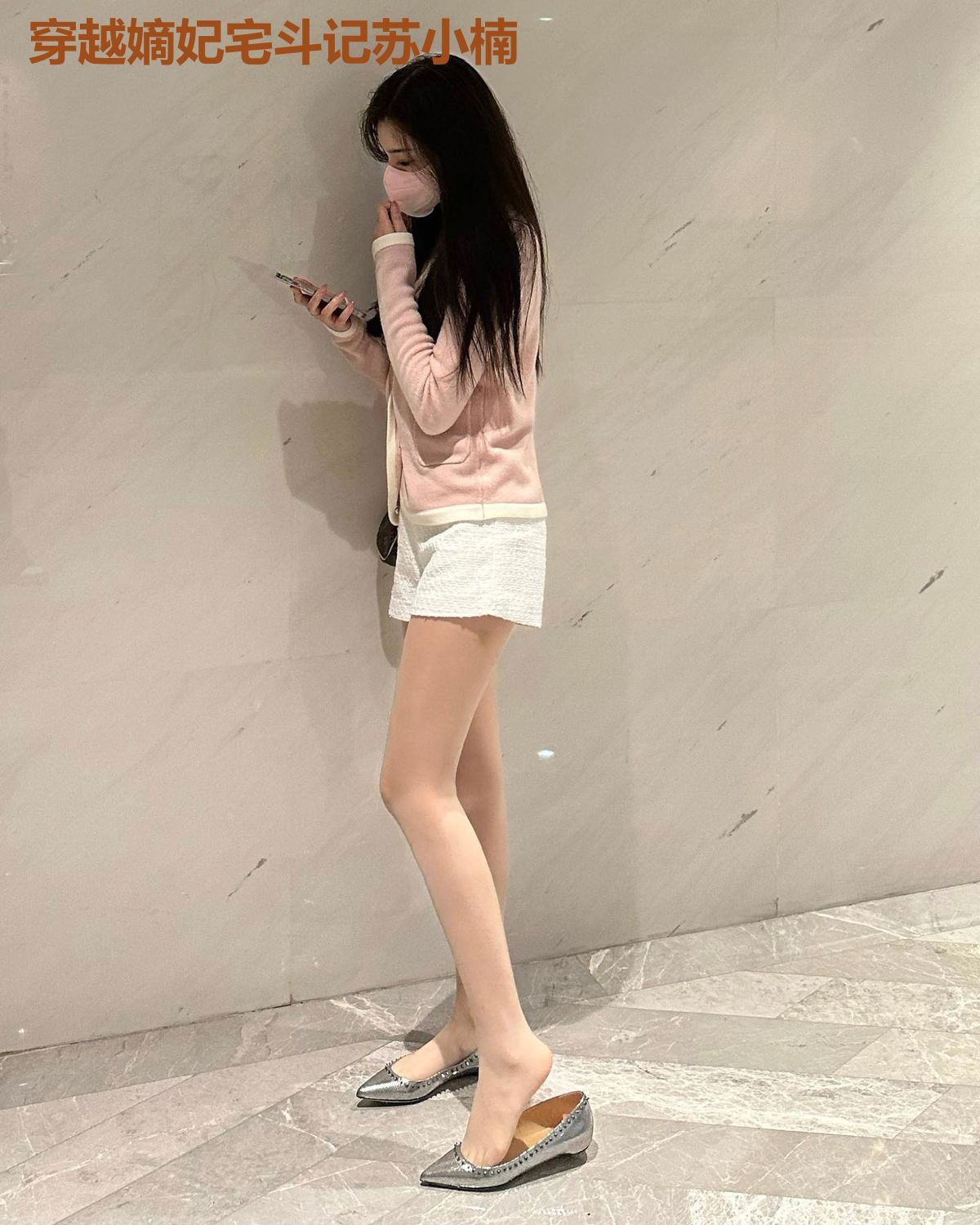 穿越嫡妃宅斗记苏小楠