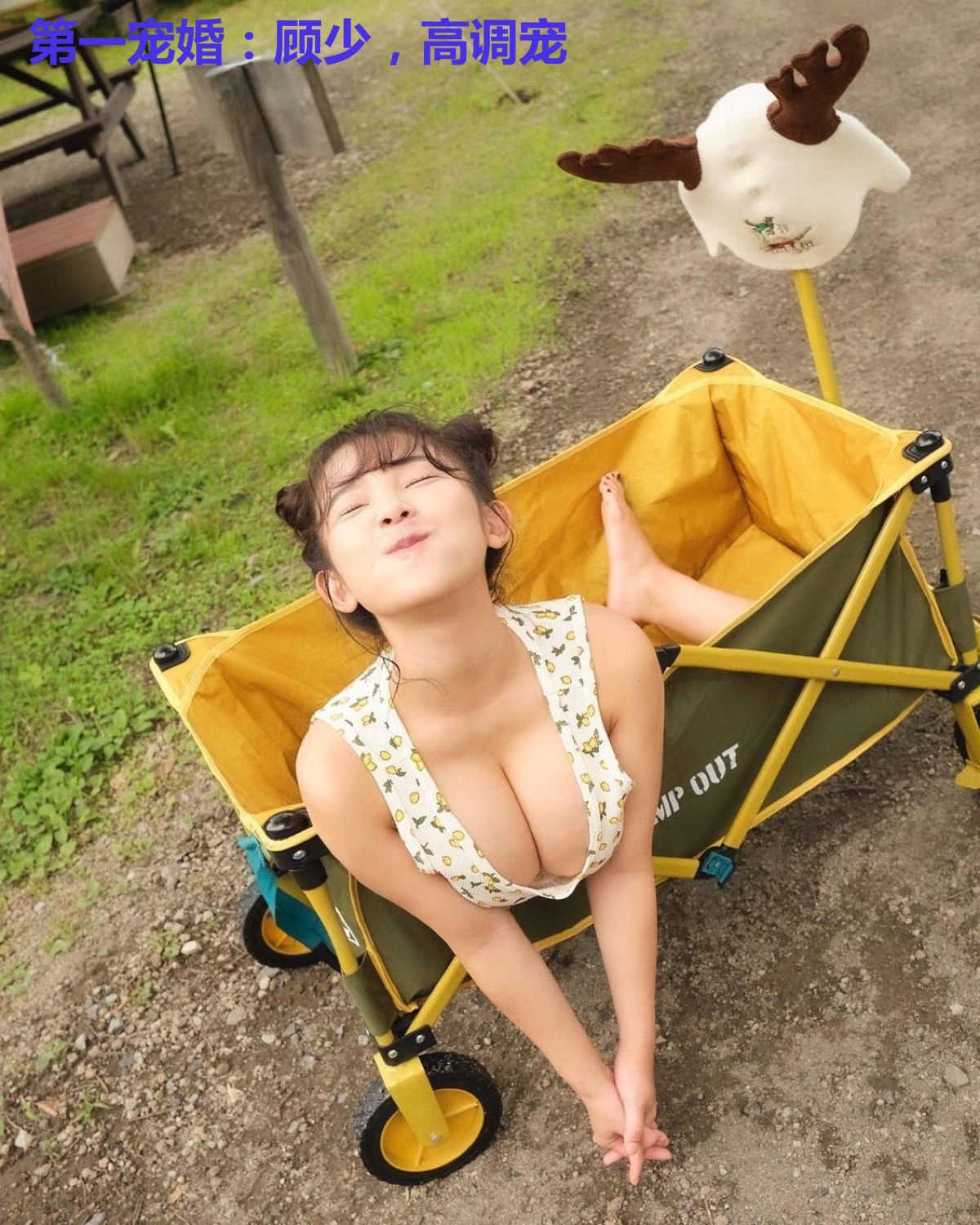 第一宠婚：顾少，高调宠