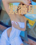 紫薇星传奇