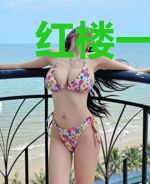 红楼一梦黛玉归来