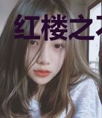 红楼之不凡鸟