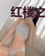 红楼之这个皇帝我见过