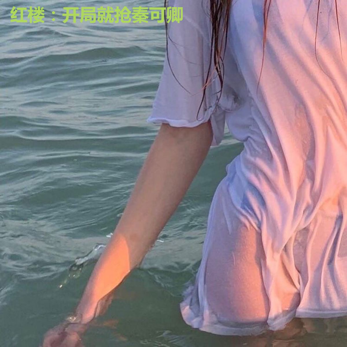 红楼：开局就抢秦可卿