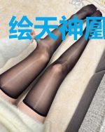 绘天神凰盛朝故