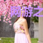 网游之我是吸血蚊