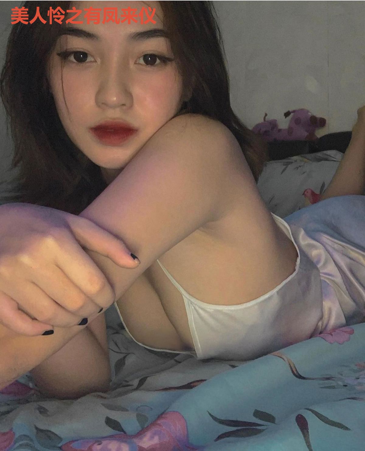 美人怜之有凤来仪