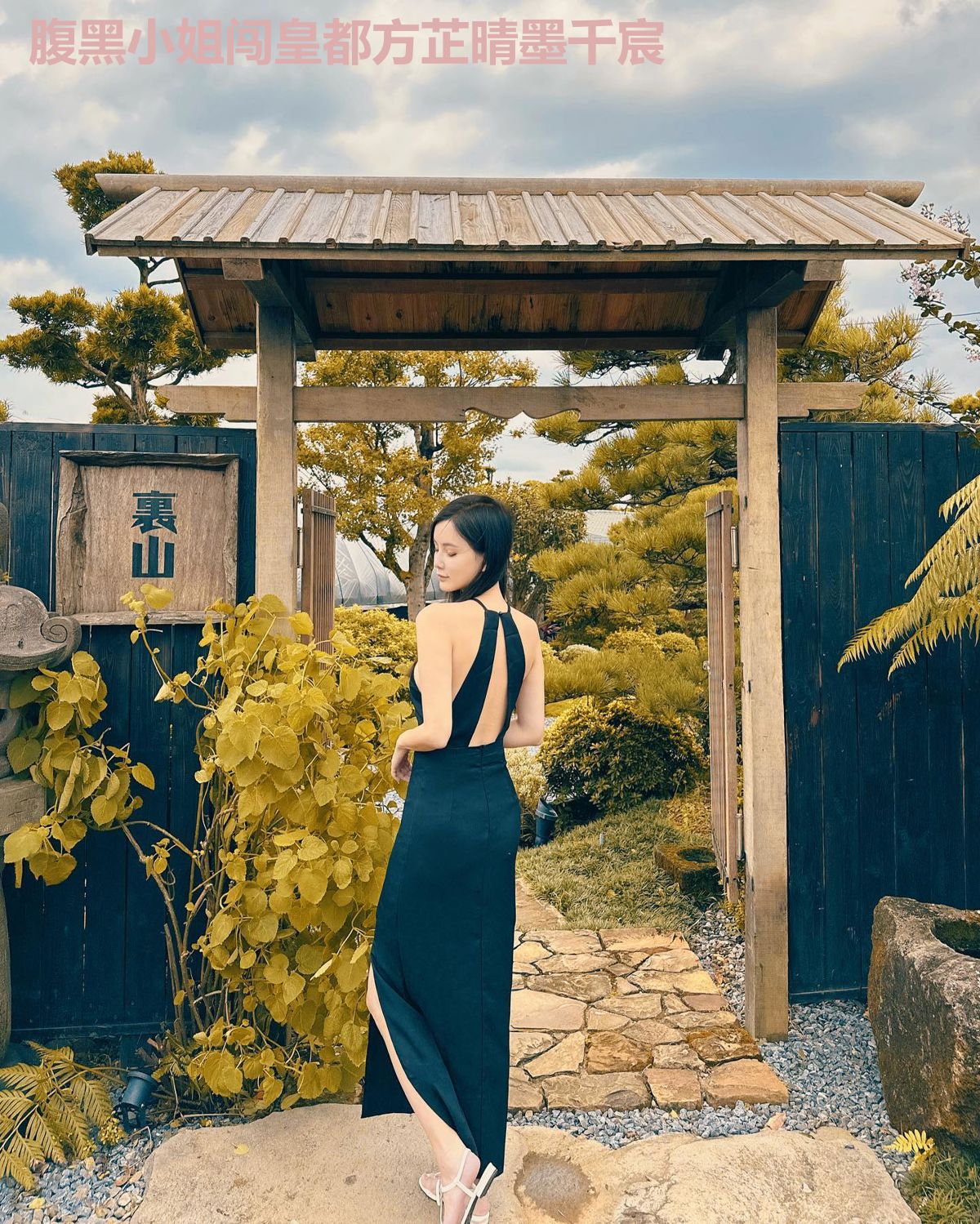 腹黑小姐闯皇都方芷晴墨千宸