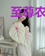 至尊农神婿