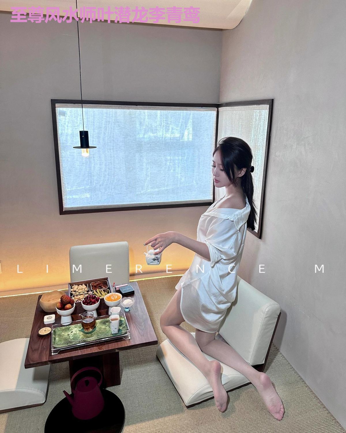 至尊风水师叶潜龙李青鸾