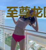 至尊龙医叶辰