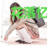 花落忆流年
