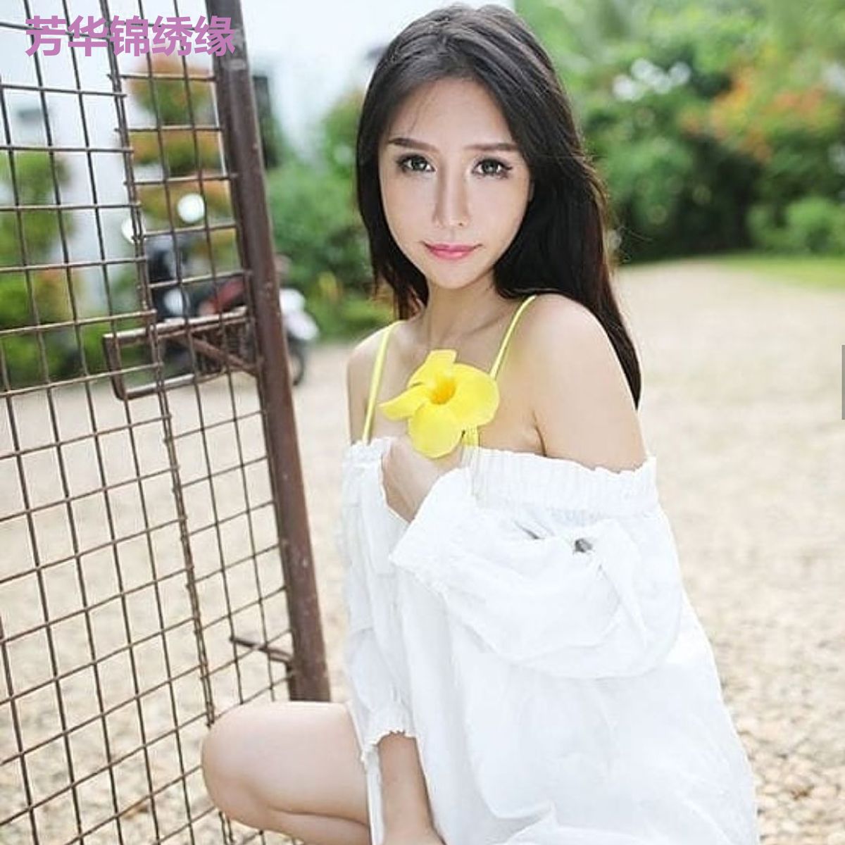 芳华锦绣缘