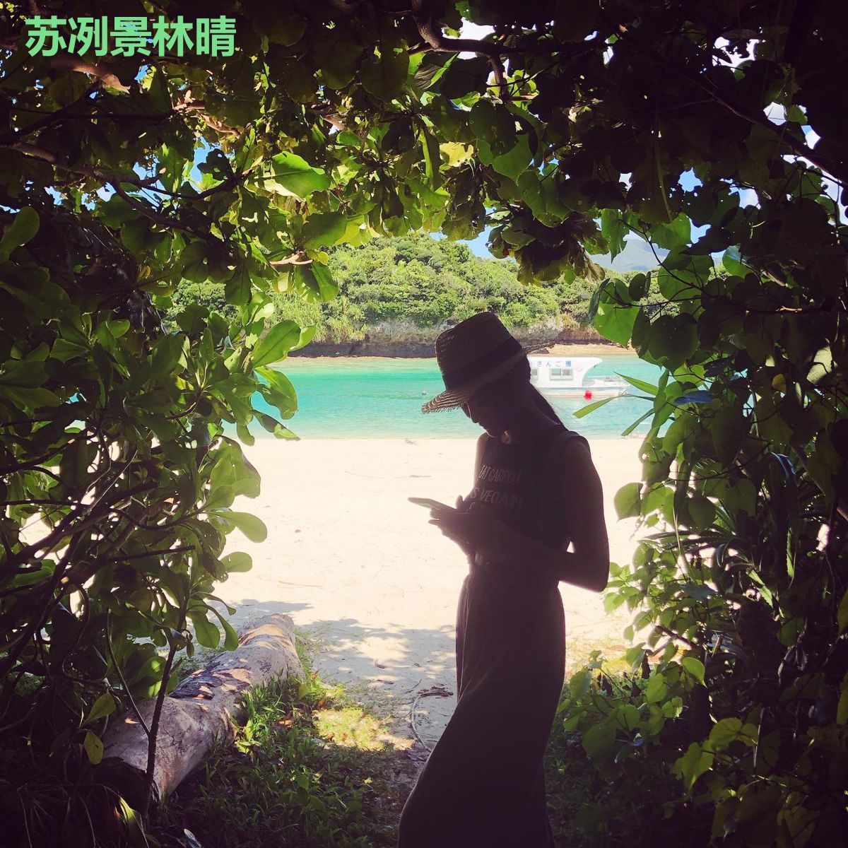 苏冽景林晴