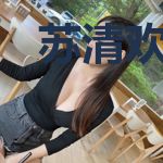 苏清欢陆弃