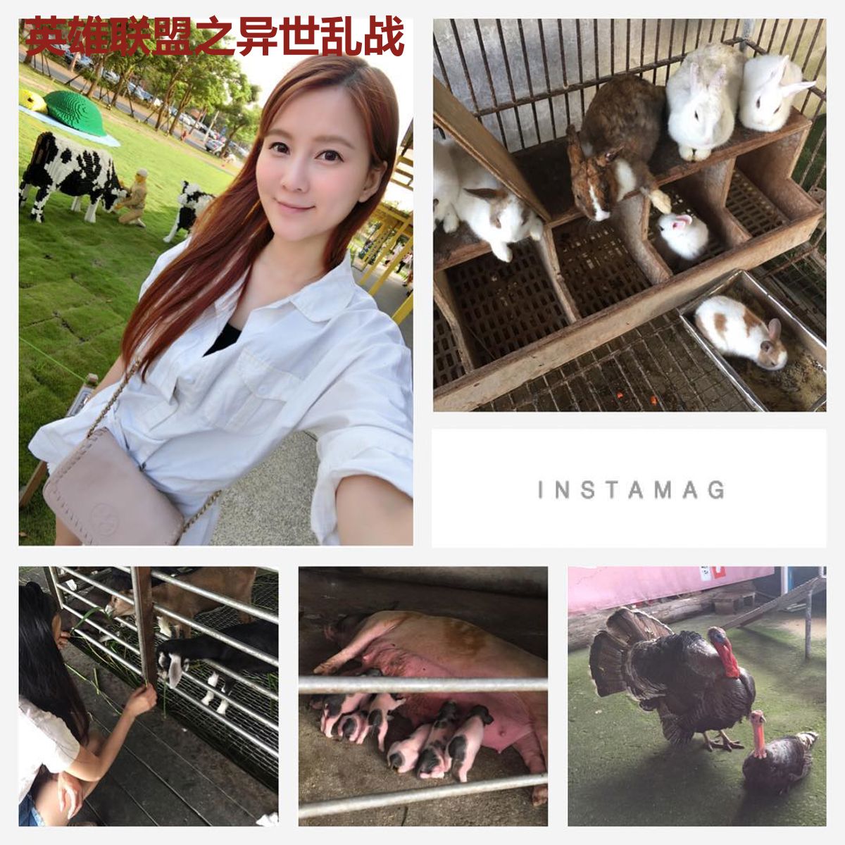 英雄联盟之异世乱战